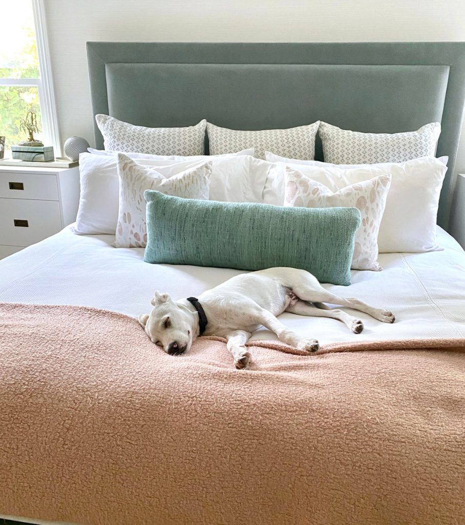 Image Description: A white puppy sleeps on a perfectly made bed